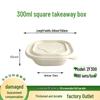ZL Biodegradable 300ml Square Takeaway Food Container