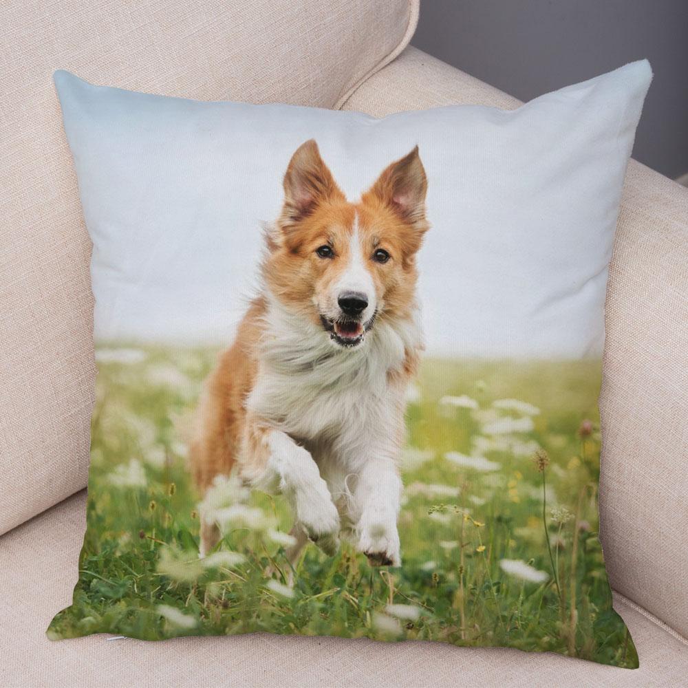 Cute Pet Animal Dog Print Pillowcase Scottish Border Collie Cushion Cover  Sofa Car Decoration