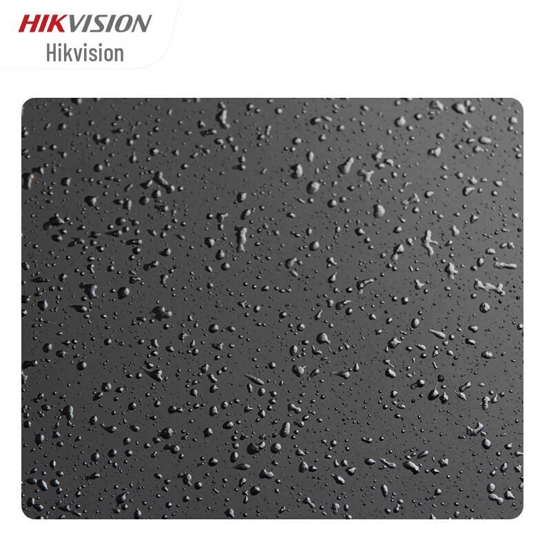 Hikvision 8-inch Professional Studio Speaker CN plug (adapter included)