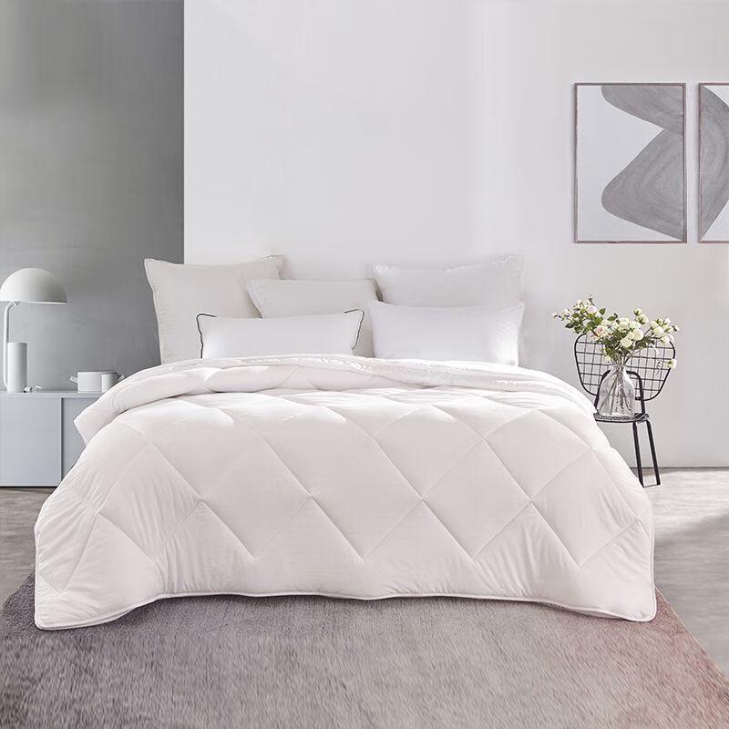 Mengjie All-Season Brushed Two-in-One Duvet Insert