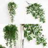 Plant Nepalensis Hedera Hanging Vines For Home Office Decor And Gift Idea