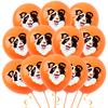 Cat Pet Dog Birthday Party Latex Balloons Cute Cartoon Kitten Print Balloons Supplies Meow Kitty Theme Balloons for Birthday