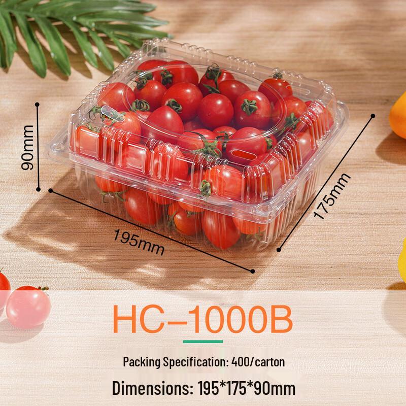 Clear Rectangular Disposable Food Containers with Lids