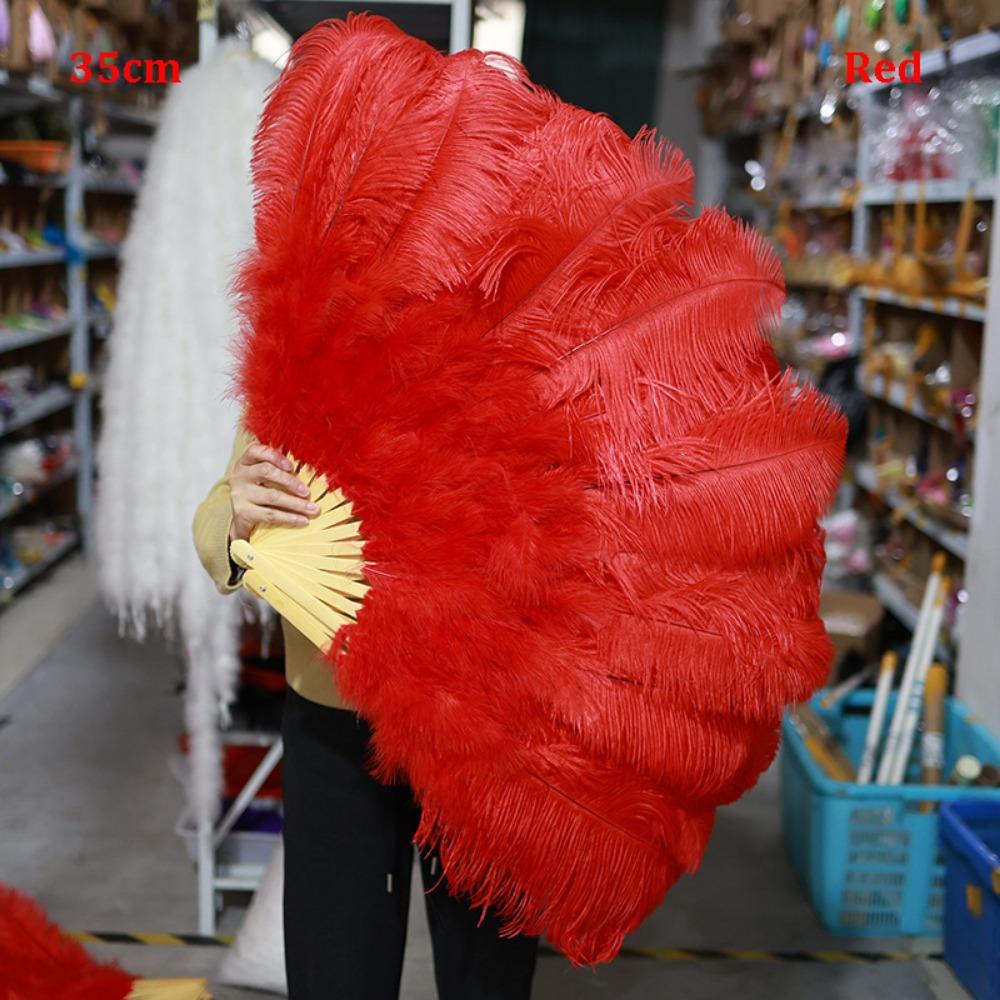 30*52cm 35*60cm Folding Fan 12 Bones Carnival Belly Dance Stage Fan New Handheld Feather Fan