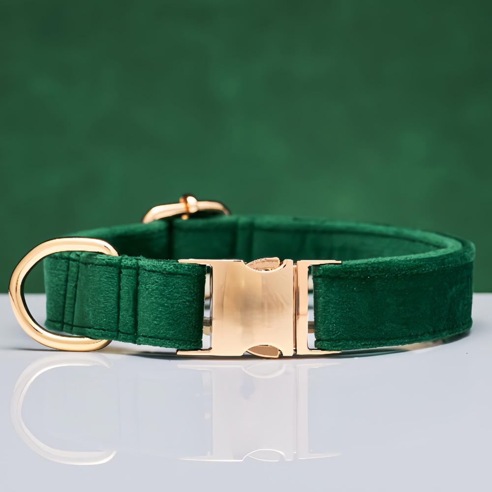 Ensemble collier et laisse pour chien en velours gravé avec boucle métallique réglable
