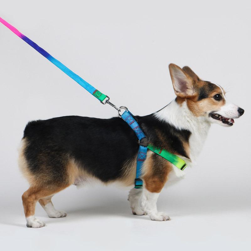Colorful Pet Leash Rainbow Leash Cat Leash Dog Leash Chest Strap Walking Dog Leash Dog Chain