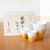 A stylish Arita ware sake set featuring one sake bottle and two sake perfect for retirement This set includes one sake bottle and two sake crafted by