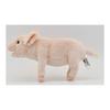 BH6455 HANSA Pig 23