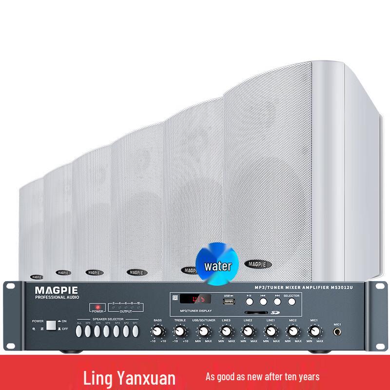 Lingque MB601B+MS3025U Bluetooth PA System with Wall Speakers