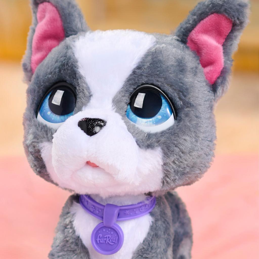 Peluche interactive Bouledogue Français, 23 cm, FURREAL FRIENDS, des 4 ans