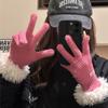 Knitted Plush Edges Gloves Keep Warm  Gloves Simple Lamb Wool Gloves  Cycling