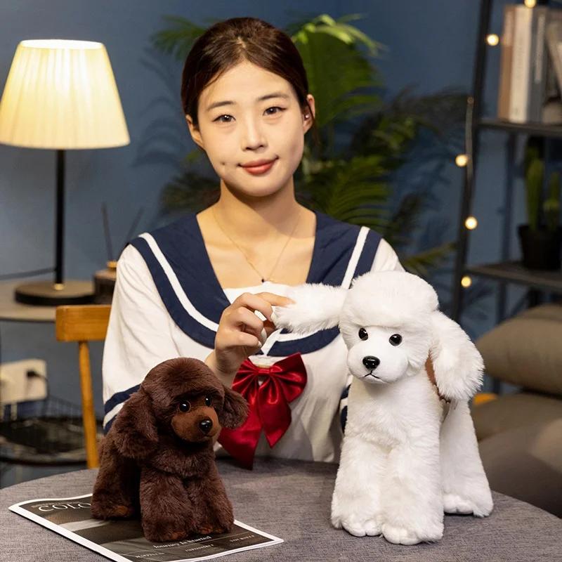 Lifelike Poodle Dog Doll Handmade Stuffed Plush Toy Realistic Teddy Puppy Simulation Animal Model Creative Gift Present