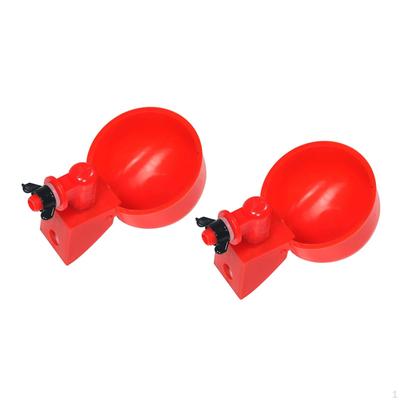 ציפורים – כלי אוכל ושתייה לציפורים