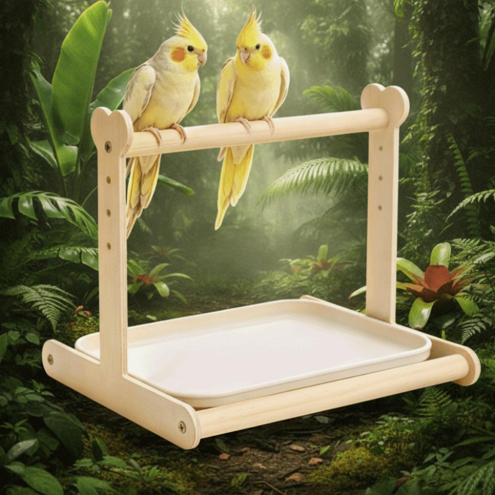 Anti-Splash Design Parrot Potty Training Platform Pet Bird Perching Stand for Small Parrots