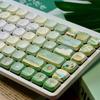 120 Keys Low Profile Five Sides Dye Sublimation PBT Keycaps Spring Outing Theme Slim Keycaps for MX Switches Mechanical Keyboard
