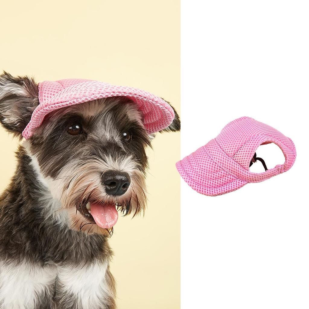 Casual Mesh Baseball Cap for Small Dogs: Golden Retriever, Bichon, Corgi, Teddy, Yorkie, Pomeranian