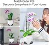 Meshpot 12 Cm Plastic Orchid Pot Inner Clear Orchid Planter Double Layer Good Outlooking Plants Container Garden Accessories