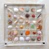 Acrylic Magnetic Seashell Display Box 36 Grids Transparent Compartment Organizer for Collectible Seashell Pin Badge Home Display