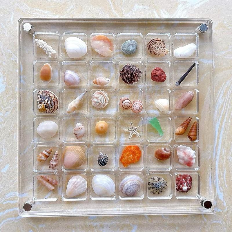 Acrylic Magnetic Seashell Display Box 36 Grids Transparent Compartment Organizer for Collectible Seashell Pin Badge Home Display