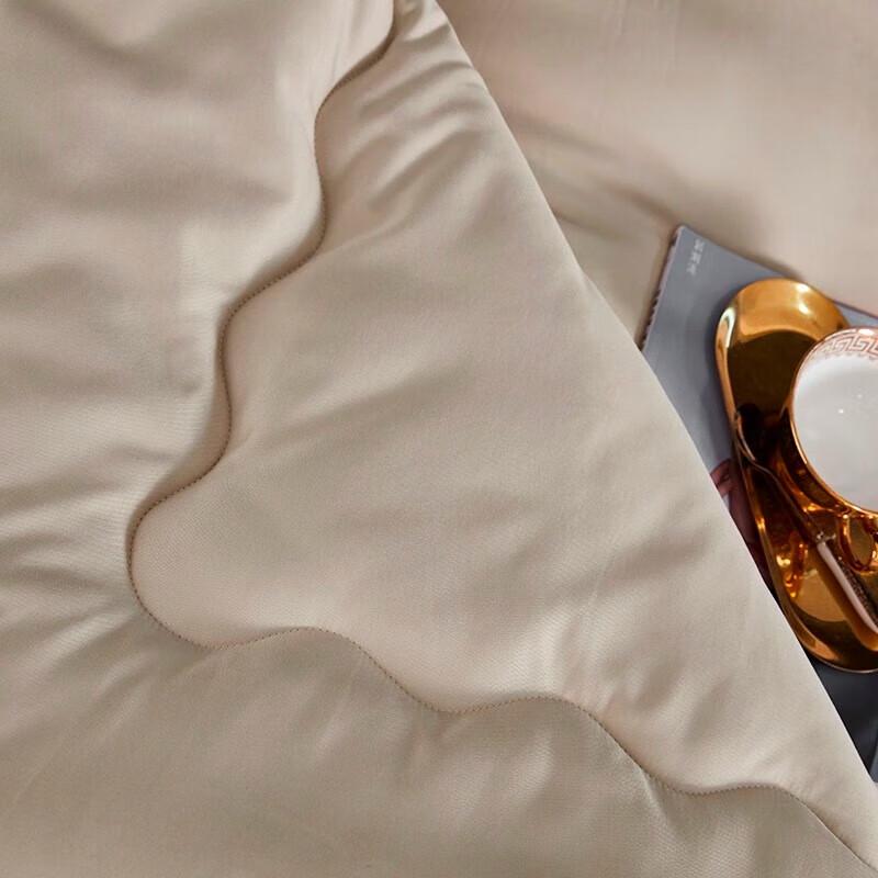 Donnar Home Warm Velvet Quilt with Ginger Essence Fabric