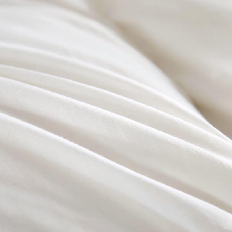 Yiyi'ai Z01900031 95% White Goose Down Duvet