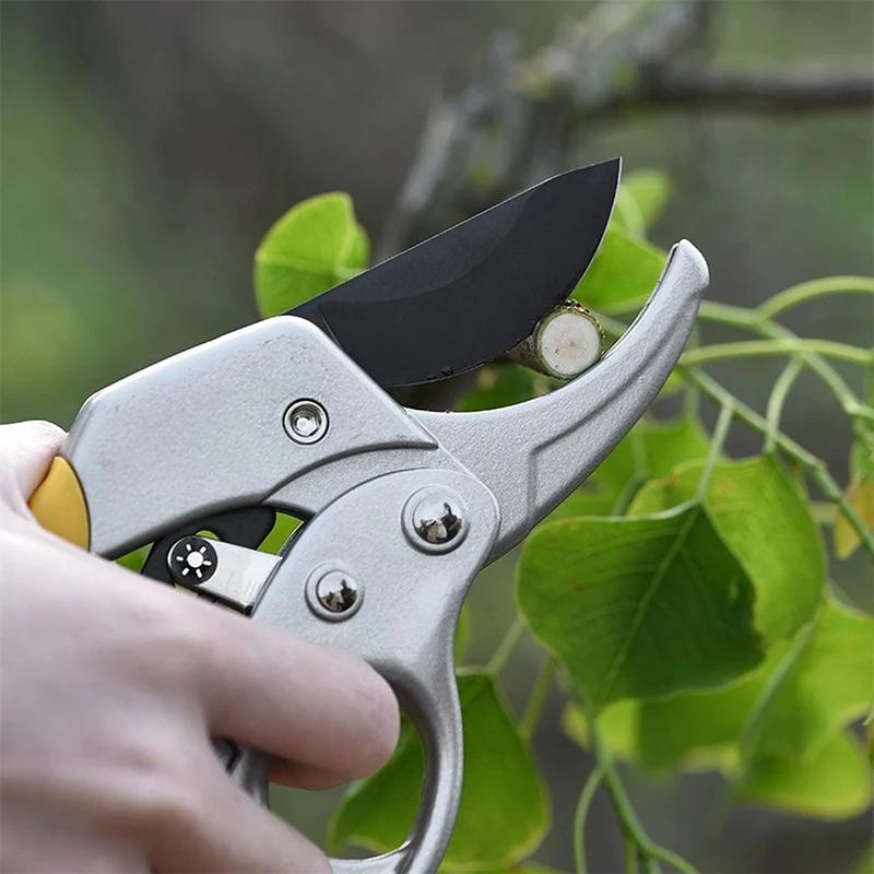 

Gardening Pruning Fruit Tree Pruning Shears Branch Scissors Gardening Pruning Branches Garden Labor-saving Shears золотий