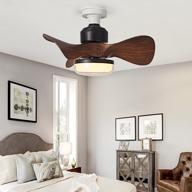 Oeny Ceiling Fan Light