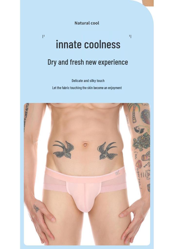 Men's Sexy Low-Waist Breathable Ice Silk Mesh Underwear