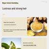 Ziyuan Ginger Extract Strengthening Shampoo, 400ml