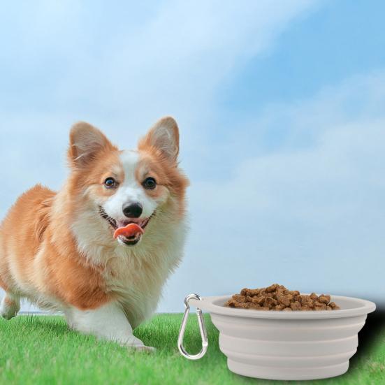 600ML Pet Bowl Convenient Foldable Silicone Dog Bowls Portable Easy To Clean Cat Dog Food Bowl Pet Supply