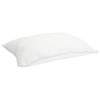 Pillow 2 Pcs White 30 X 50 Cm Bamboo Fiber