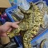 King Of The Monsters Gold Color Godzilla Movie Action Figure Soft Rubbe PVC Model Movable Joints Dinosaur Kids Toys Gift