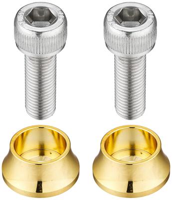 POSH Top Bridge Fixing Bolt Set (2 Pieces/1 Set) Gold