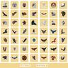 50 Cute Wind Animal Graffiti Stickers Suitcase Guitar Decoration Waterproof Stickers DIY Hand Account Stickers