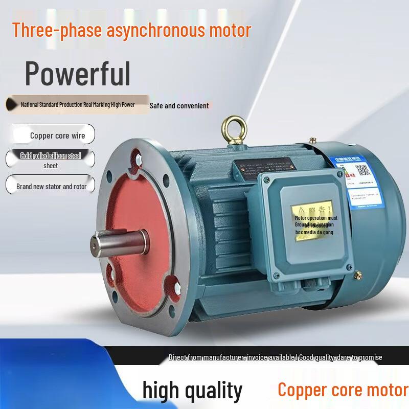 Vertical Three-phase Asynchronous Motor
