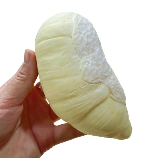 Jouet à presser Durian Doux Réaliste PU Lentement Élastique Fidget pour Soulager le Stress Mignon Gadget de Décompression en Forme de Fruit pour Enfants Adultes