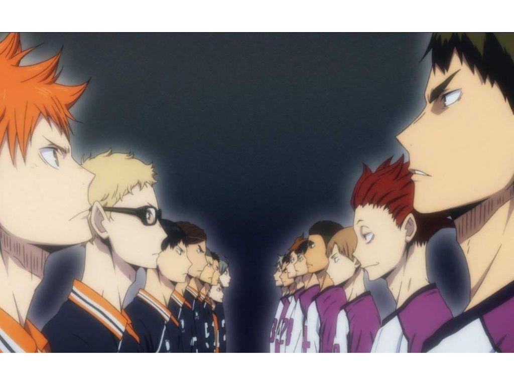 Shiratorizawa High Cosplay Costume - Haikyuu Team Sports Uniform