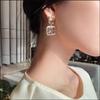 Zirconia  Earrings