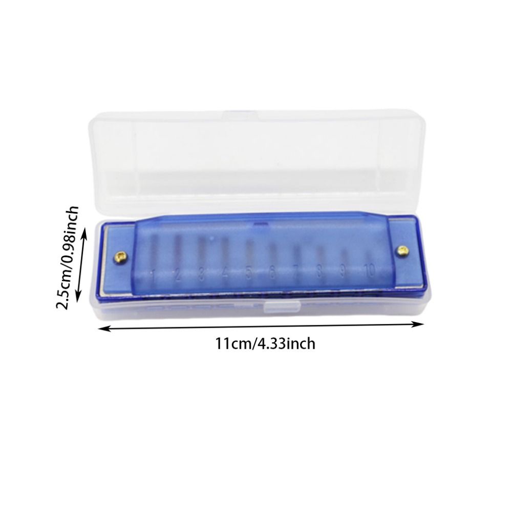 Bright Color 10 Hole Harmonica Translucent Mouth Organ Diatonic Harmonica  Young Learners