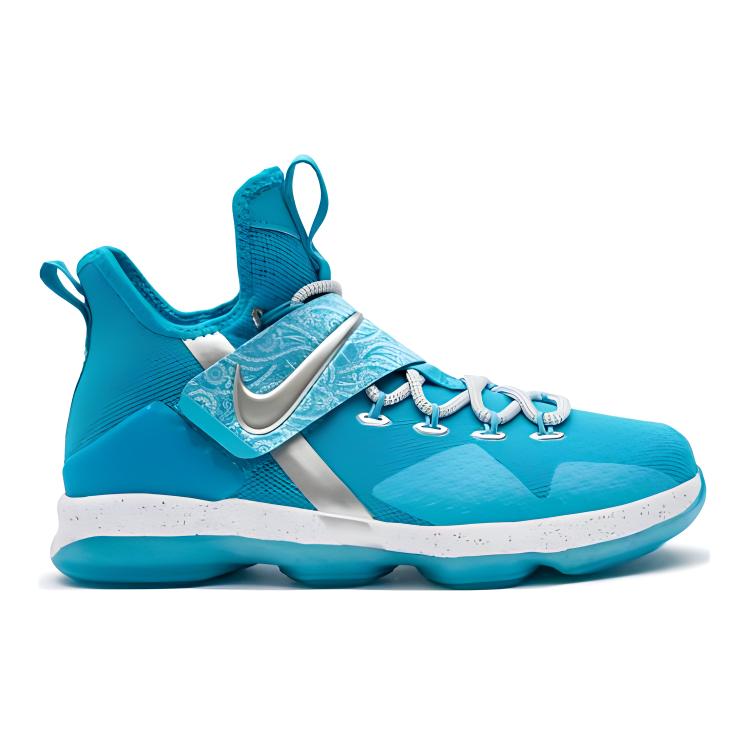 Nike LeBron 14 Ric Flair GS AA3258-404
