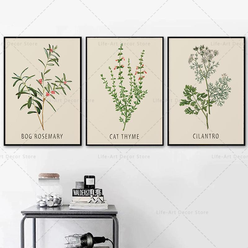 Roślina, kwiat, badania, plakat retro, druk botaniczny, plakaty ziołowe, obraz vintage na płótnie, obraz na ścianę do salonu,