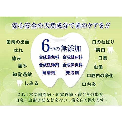 Medicated Adult Gel Toothpaste, S-80-20, for Bad Breath and Periodontal Disease, Non-Abrasive, 6 Additive-Free, Natural Ingredients, 80g