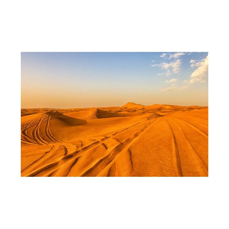 

Фон для фотосъемки серии «Пустыня» с природными пейзажами, фон для фотосъемки, студийные принадлежности, реквизит, домашний декор 5*3ft (150*100cm)