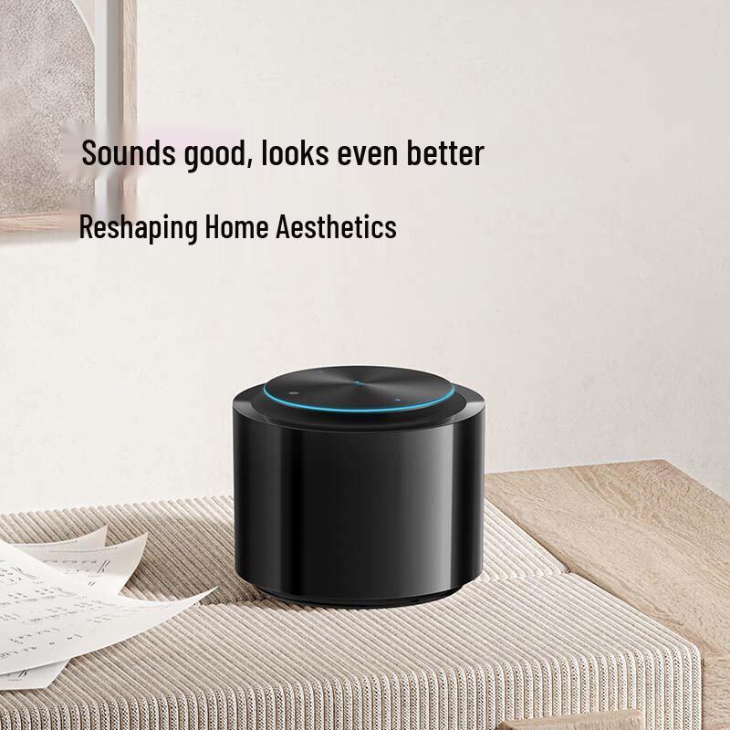 Xiaomi Sound Hi-Fi Smart Speaker CN plug (adapter included) (CN version)