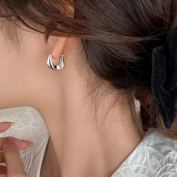 925 Sterling Silver Hoop Earrings: New 2023 Luxury Style Women's Studs with High-End Feel