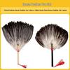 Chinese Style Feather Fan (2-Pack)