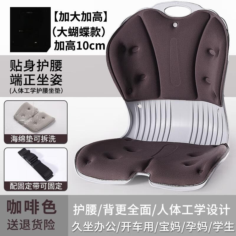 Aige Ergonomic Lumbar Support Office Cushion