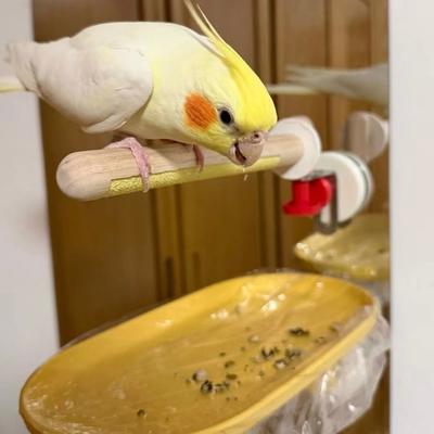 DIY Suction Cup Bird Climbing Perch Comfortable Grip Non-slip Parrot Standing Perch with Tray Durable Stable Grinding Claws Pole