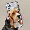 Beagle Dog Puppy Pet For Xiaomi 13 12 Lite 11T 12T Pro 12X Phone Case For POCO F5 X3 X5 Pro M6 X4 F4 GT M5s F3