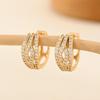 Gold Multi-Style Zircon Hoop Earrings for Women